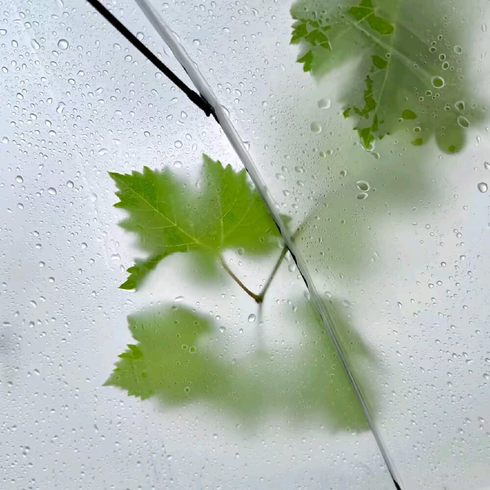 背景图