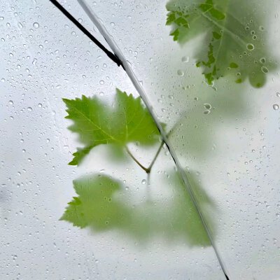 背景图
