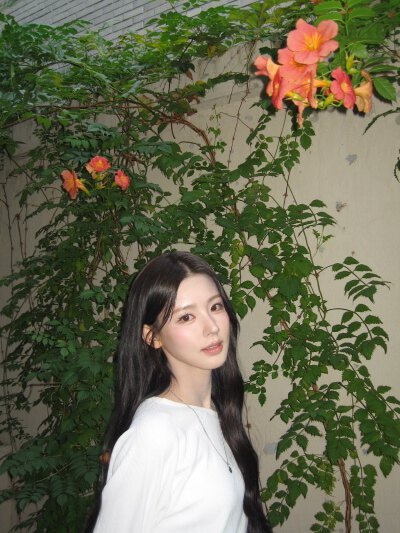 赵美延