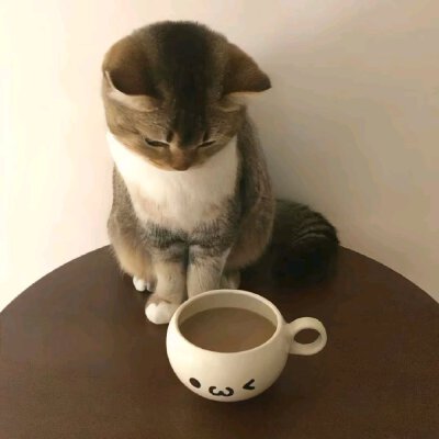 棕色系背景图