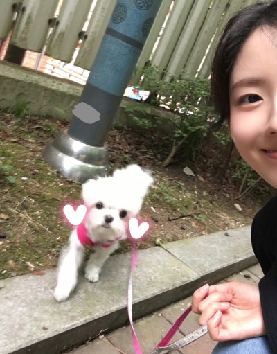 宋诗安