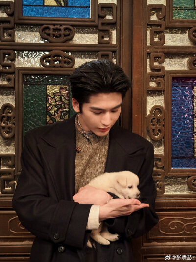 张凌赫