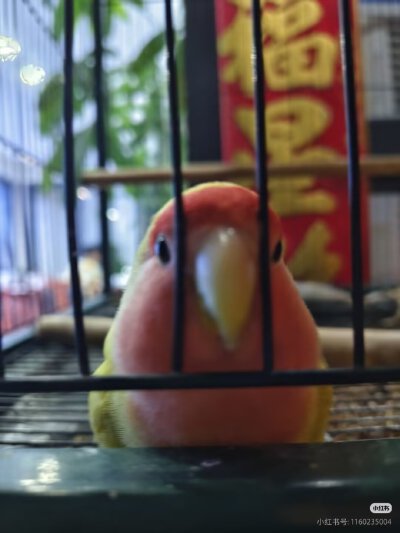 。