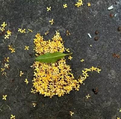 黄色系背景图