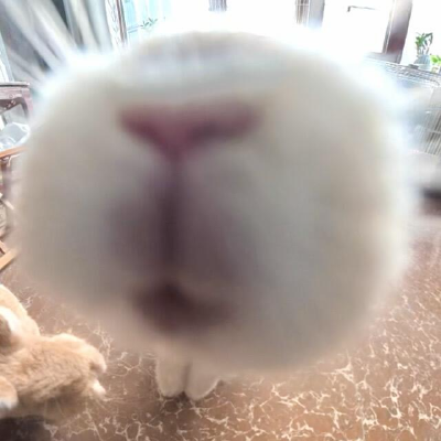 ：