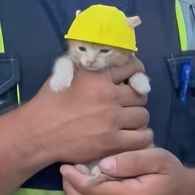 ～