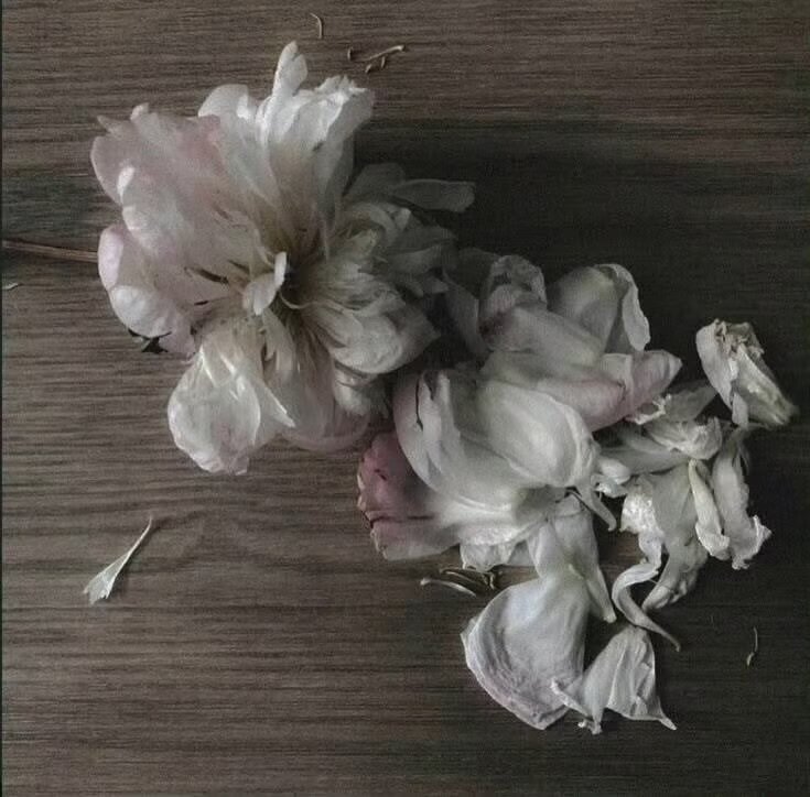 审美积累