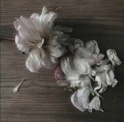 审美积累