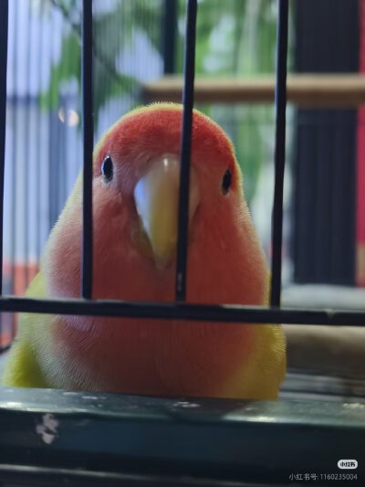 。