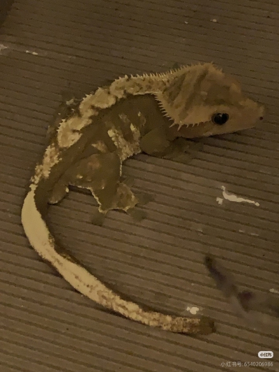 。