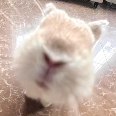 ：