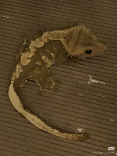 。