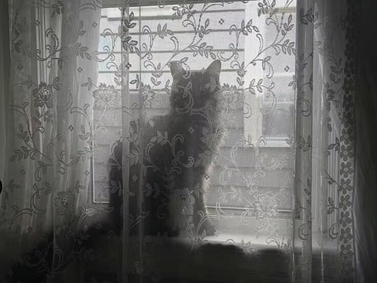 审美积累