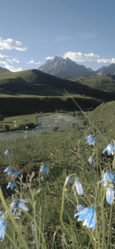 壁纸