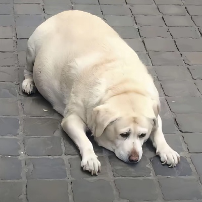 ～