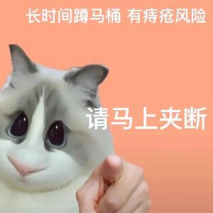 猫猫表情包