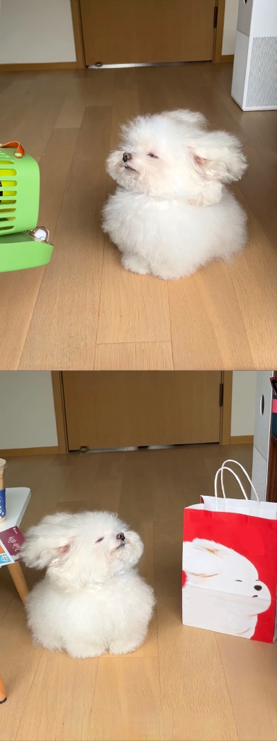 。