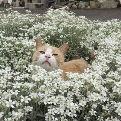 豆绿色