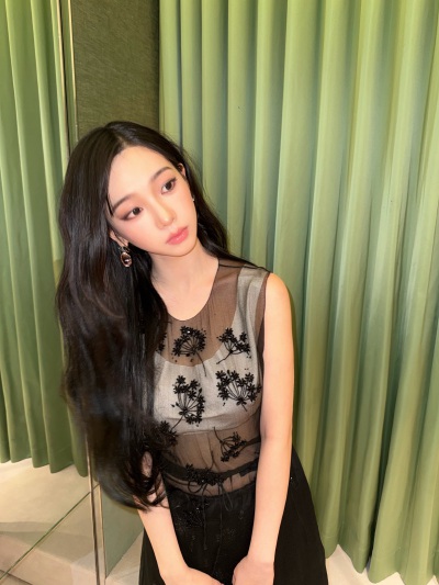 柳智敏 karina