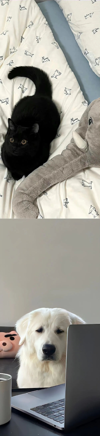 。