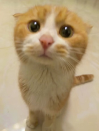 ～