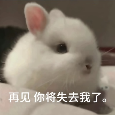 早安