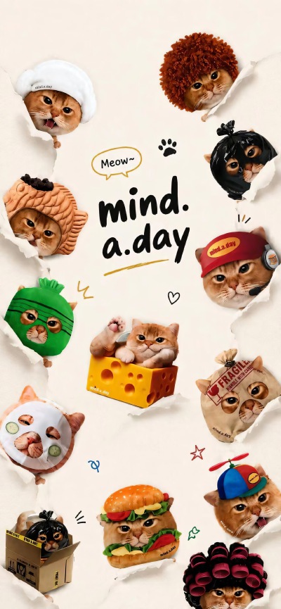 COVER CAT
