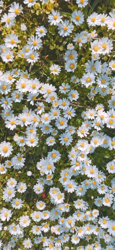 #قدرات خارقة