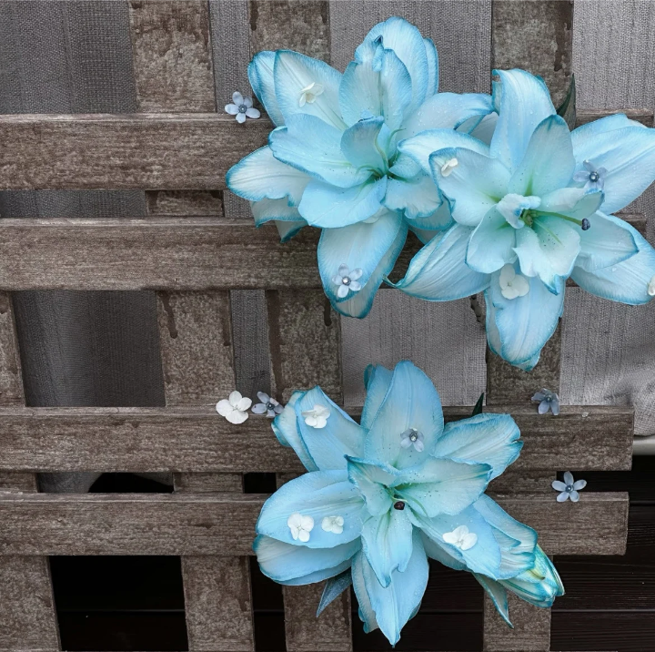百合花背景图