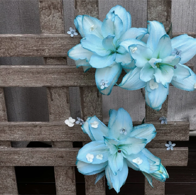 百合花背景图
