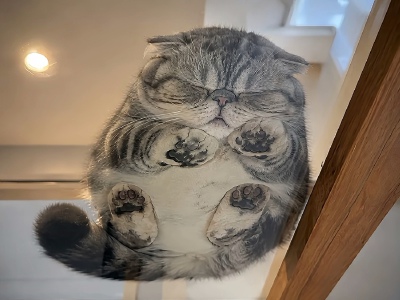 ～