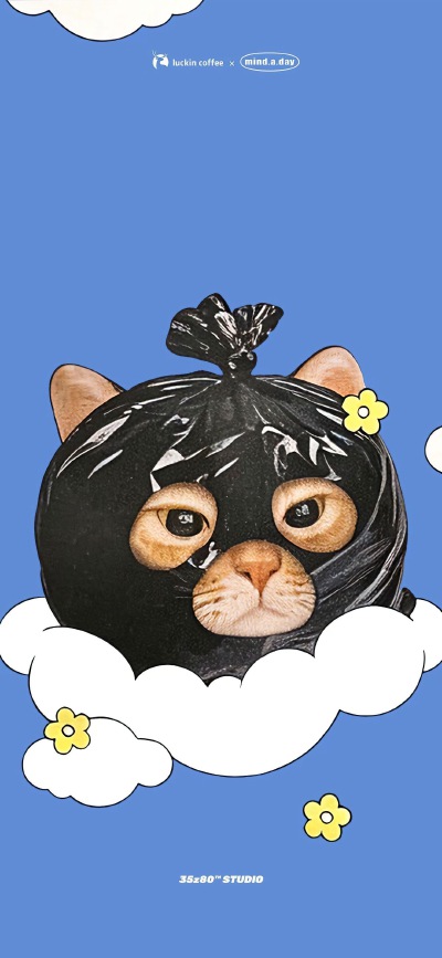 COVER CAT