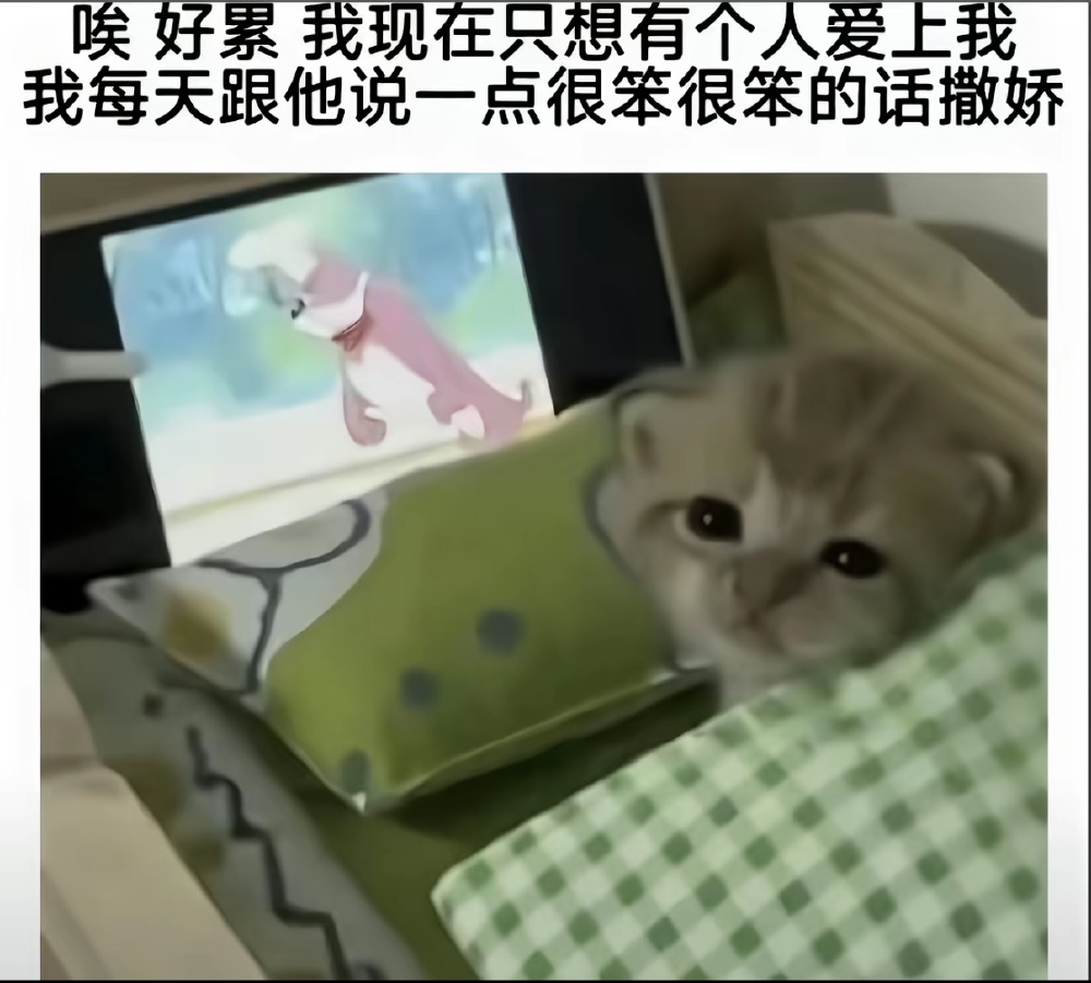 我觉得我失宠了