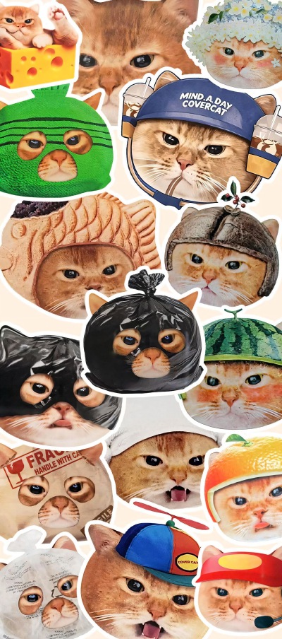 COVER CAT