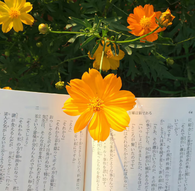 侵删