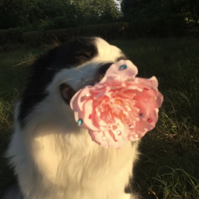 ～