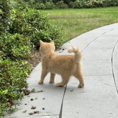 ～