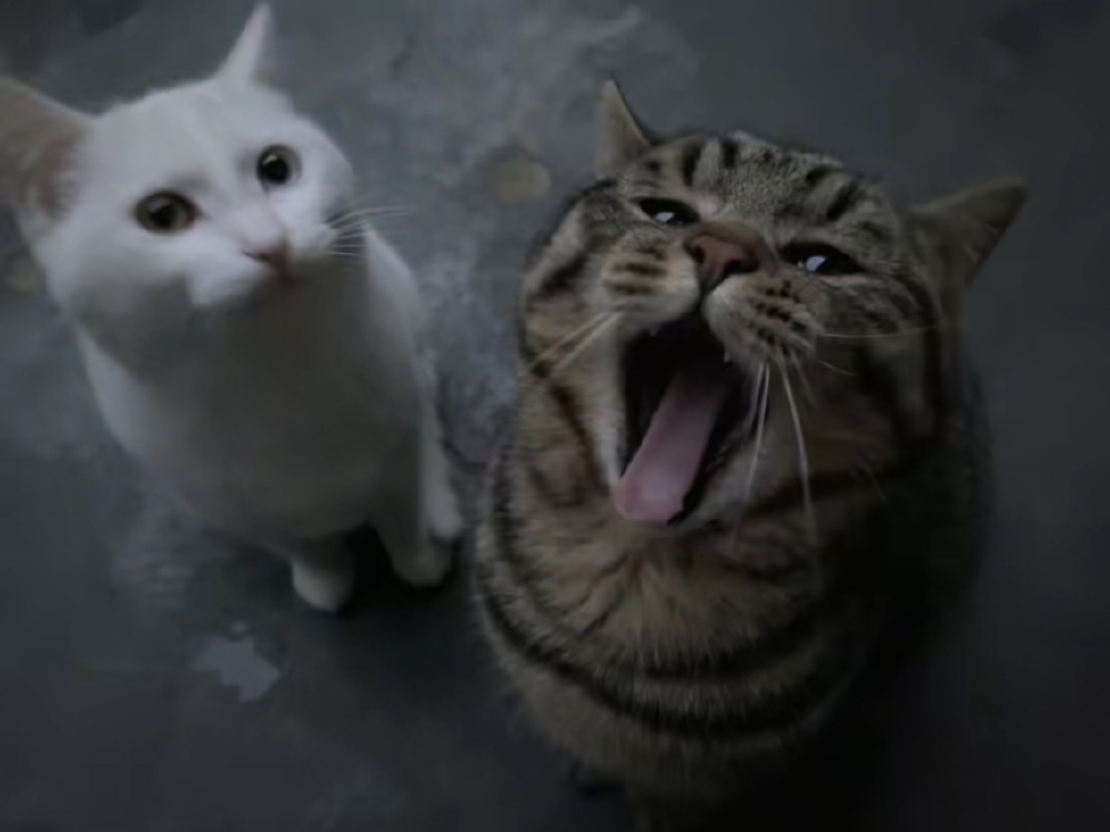 ～