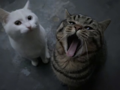 ～