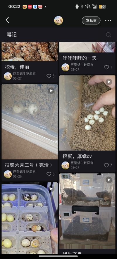 。