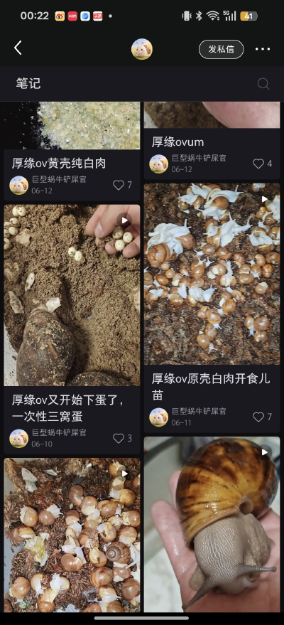 。