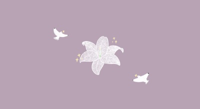 电脑壁纸