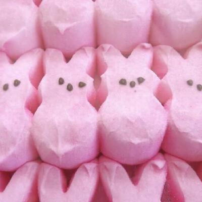 棉花糖 糖果 小兔子棉花糖