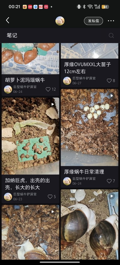 。
