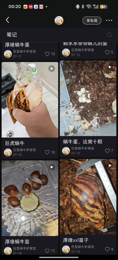 。