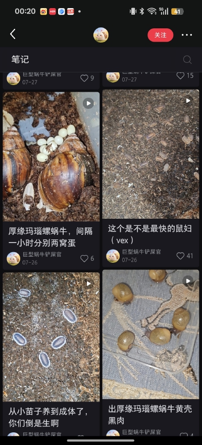 。