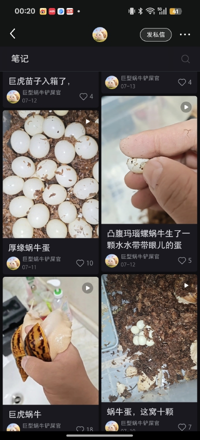 。