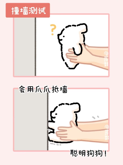 线条小狗