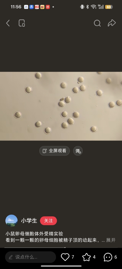 。