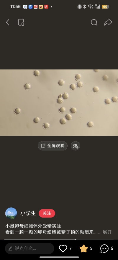 。